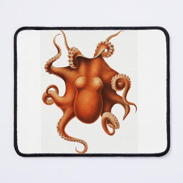 Item preview, Octopus illustration from 'Die Cephalopoden' (1910–1915) by Carl Chun. designed and sold by Spookyuk.