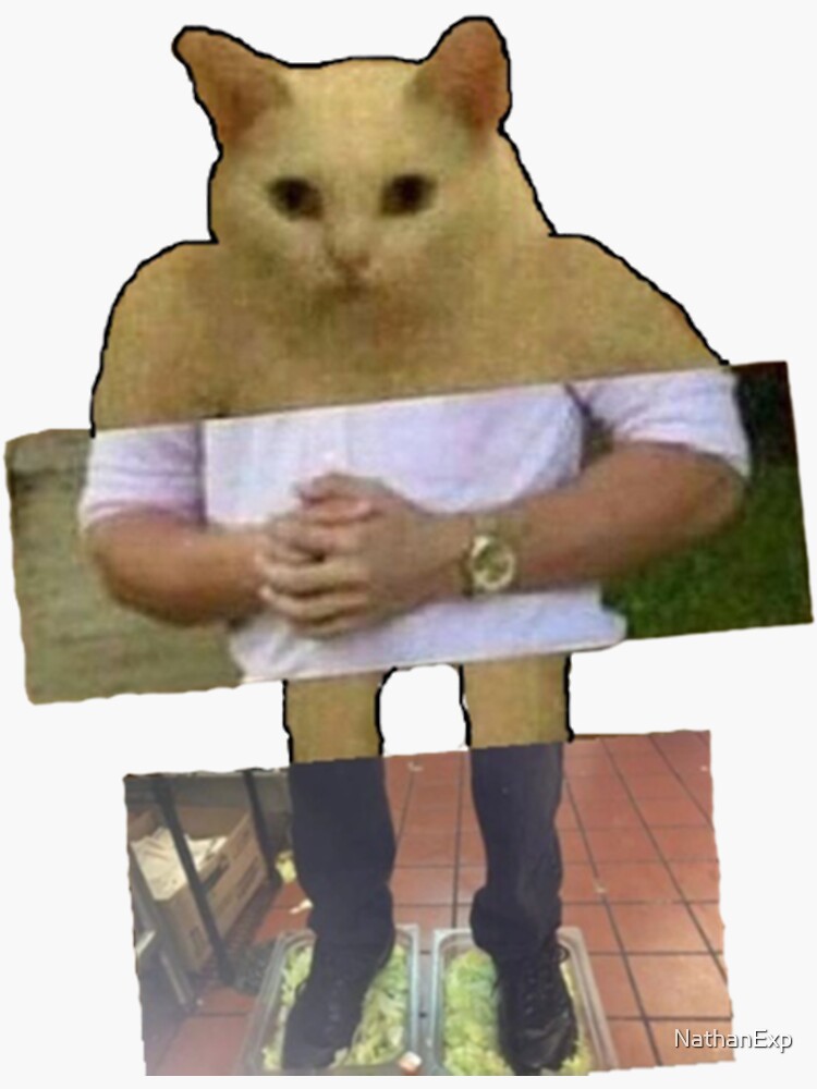 "Delete this cat meme" Sticker for Sale by NathanExp Redbubble