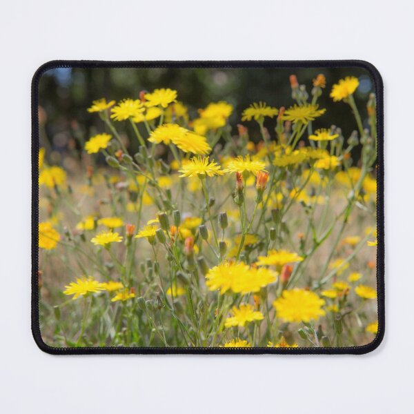 Item preview, Field Flora designed and sold by Dave Hare Photography.