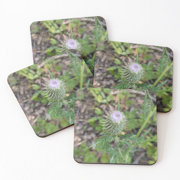 Item preview, Purple Prickly Flower! designed and sold by Robbiegood.