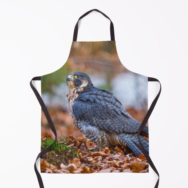 Item preview, Peregrine Falcon designed and sold by Dave Hare Photography.