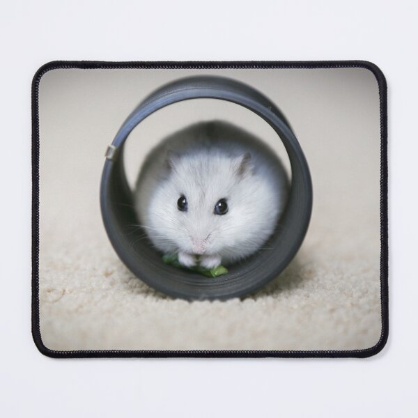 Item preview, Cute White Hamster In Wheel. designed and sold by cgroenewald.