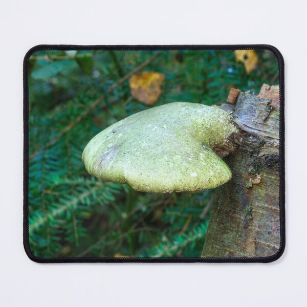 Item preview, Woodland Plants designed and sold by Dave Hare Photography.
