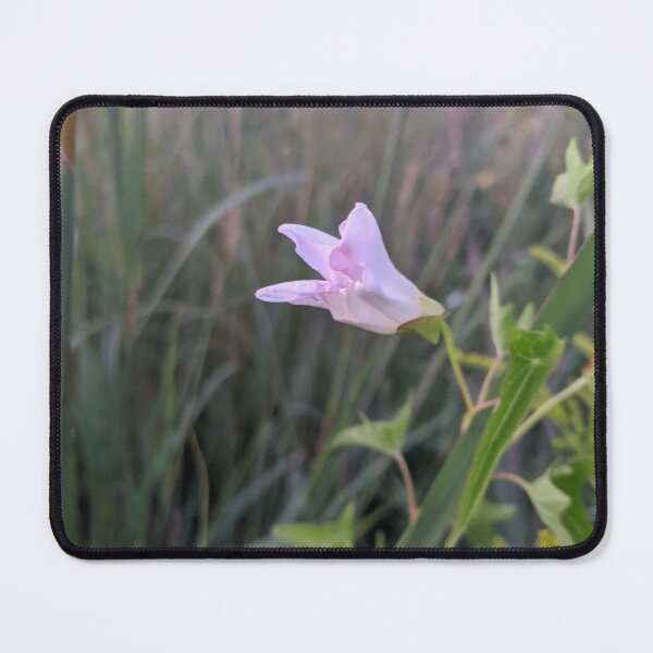 Item preview, Lovely Light Pink Flower designed and sold by Robbiegood.