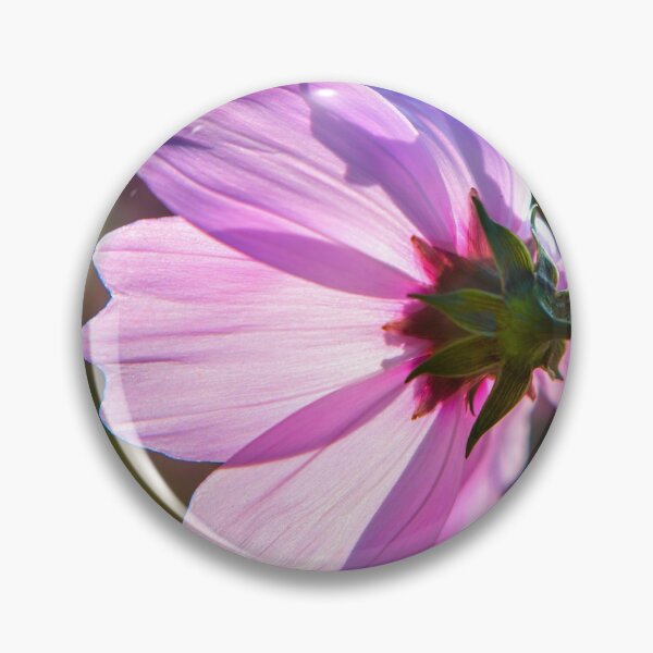 Item preview, Backlit Flora designed and sold by Dave Hare Photography.