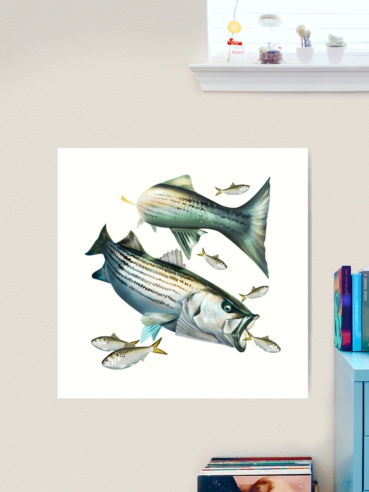 Striped Bass Good Day Fishing Art Print for Sale by Mary Tracy