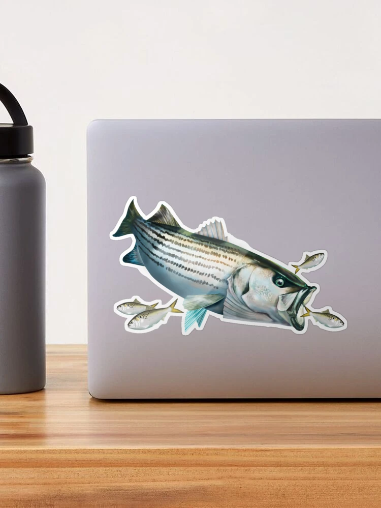 Striped Bass Chasing Menhaden Sticker for Sale by Mary Tracy