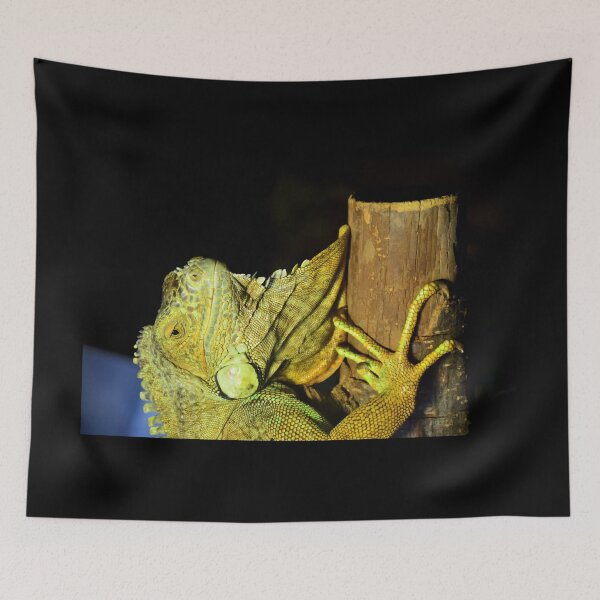 Item preview, Green iguana designed and sold by E-Maniak.