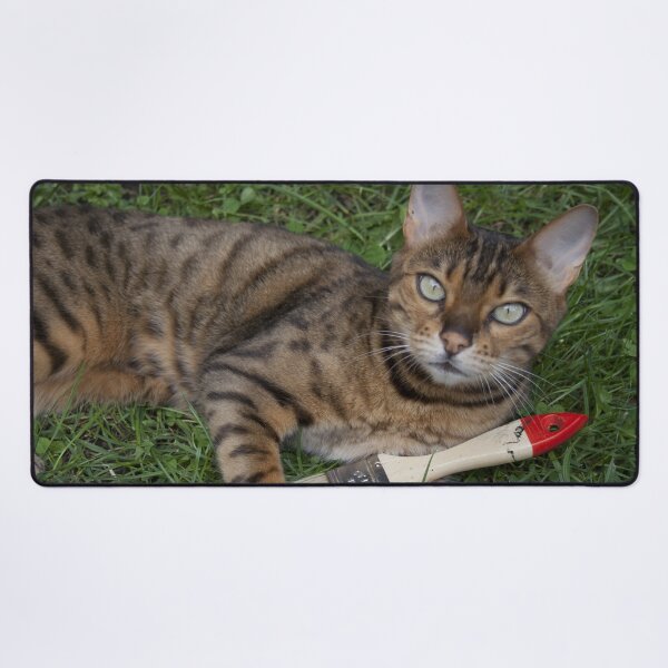 Item preview, Bengal Cat's Toy designed and sold by Mythos57.