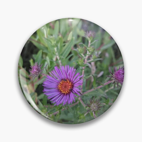 Item preview, Purple Blooming SunFlowers designed and sold by Robbiegood.