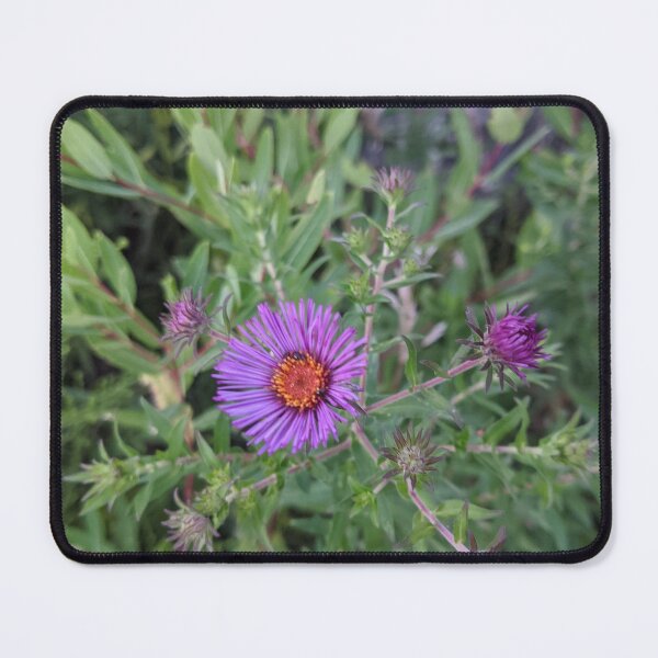 Item preview, Purple Blooming SunFlowers designed and sold by Robbiegood.