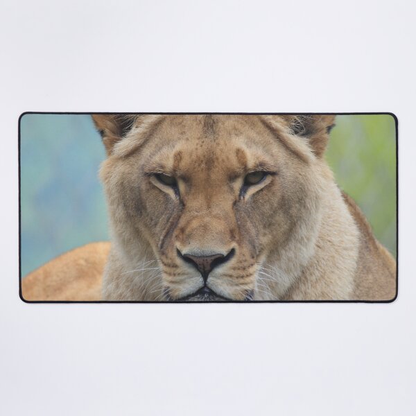 Item preview, Panthera leo designed and sold by Mythos57.