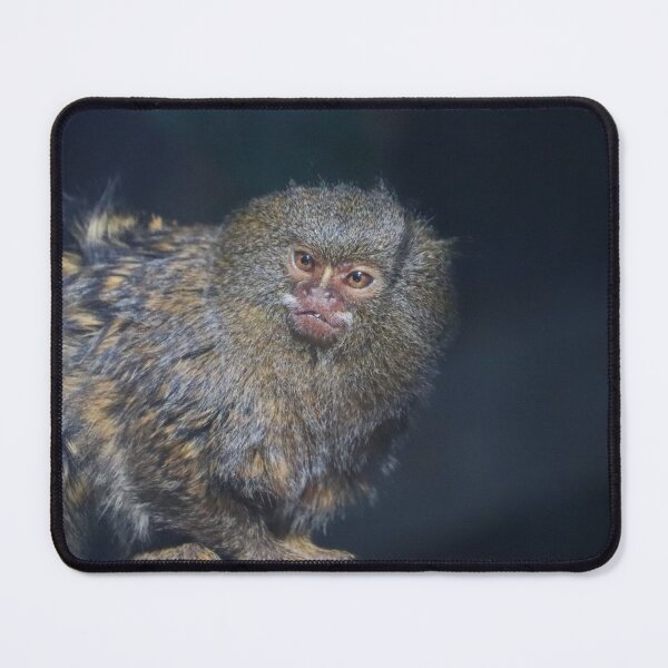 Item preview, Pygmy Marmoset designed and sold by LeanneAllen.