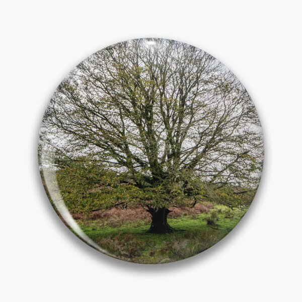 Item preview, Single Exmoor Tree designed and sold by Dave Hare Photography.