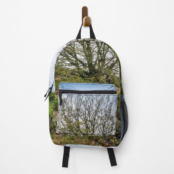 Item preview, Single Exmoor Tree designed and sold by Dave Hare Photography.