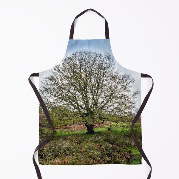 Item preview, Single Exmoor Tree designed and sold by Dave Hare Photography.
