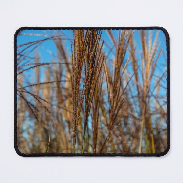 Item preview, Wild Grass designed and sold by Dave Hare Photography.