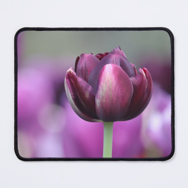 Item preview, Purple Passion designed and sold by LeanneAllen.