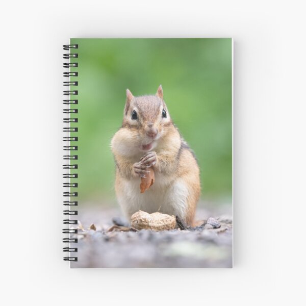 Eastern Chipmunk Stuffing Its Face Spiral Notebook