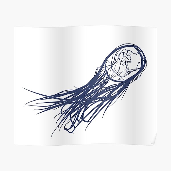 Poster Box Jellyfish Redbubble