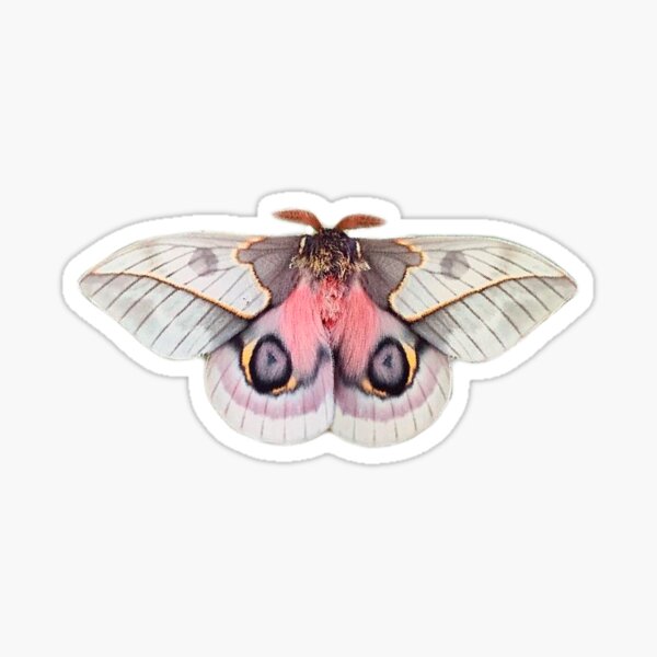 Moth Sticker – Fluffed Animals