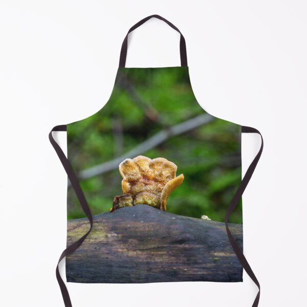 Item preview, Fungal remains designed and sold by Dave Hare Photography.