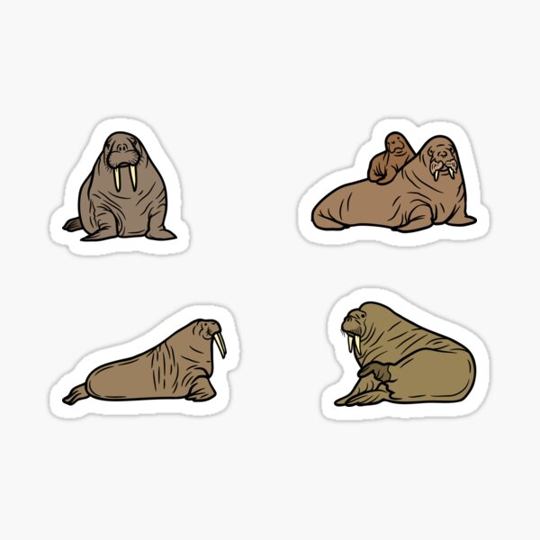 Item preview, Little Walrus Animal Illustrations designed and sold by RosiesSticks.