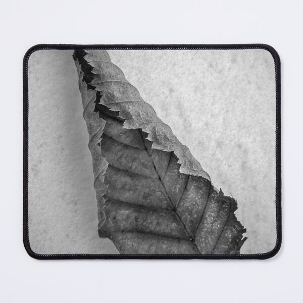 Item preview, Frozen Leaf. designed and sold by Dave Hare Photography.