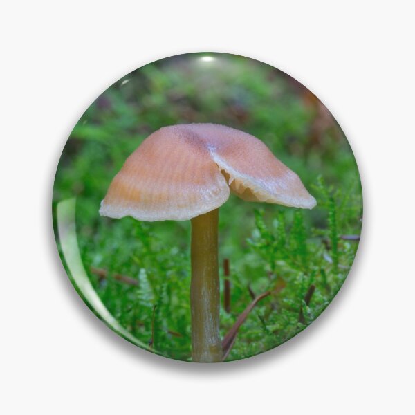 Item preview, Tiny Fungi. designed and sold by Dave Hare Photography.