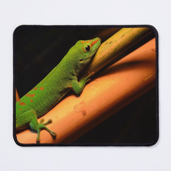 Item preview, Green lizard designed and sold by E-Maniak.