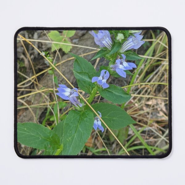 Item preview, Lovely Blue Flowers designed and sold by Robbiegood.