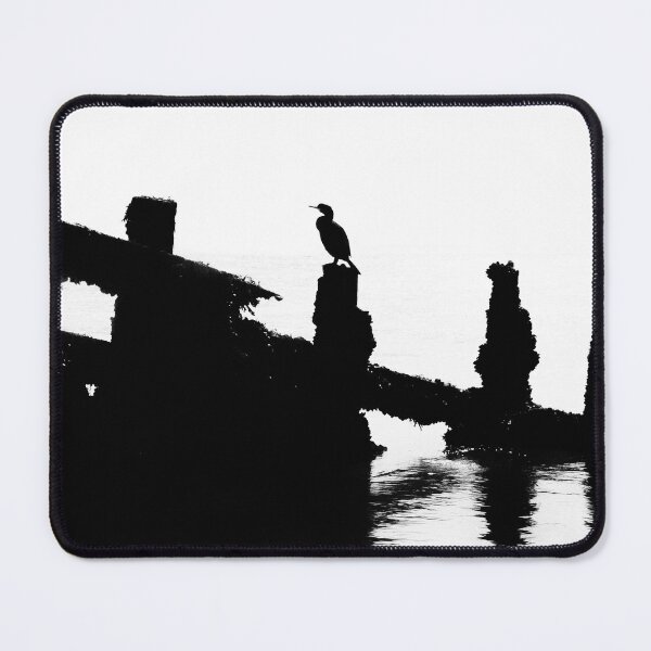 Item preview, Perched Cormorant. designed and sold by Dave Hare Photography.