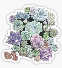 Succulent Sketches Sticker