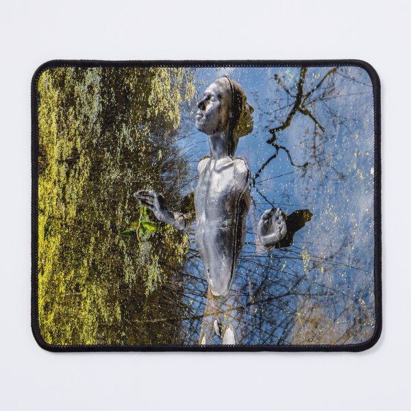 Item preview, Transition designed and sold by Dave Hare Photography.