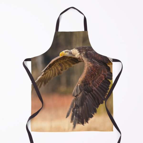 Item preview, Bald Eagle in Flight designed and sold by Dave Hare Photography.
