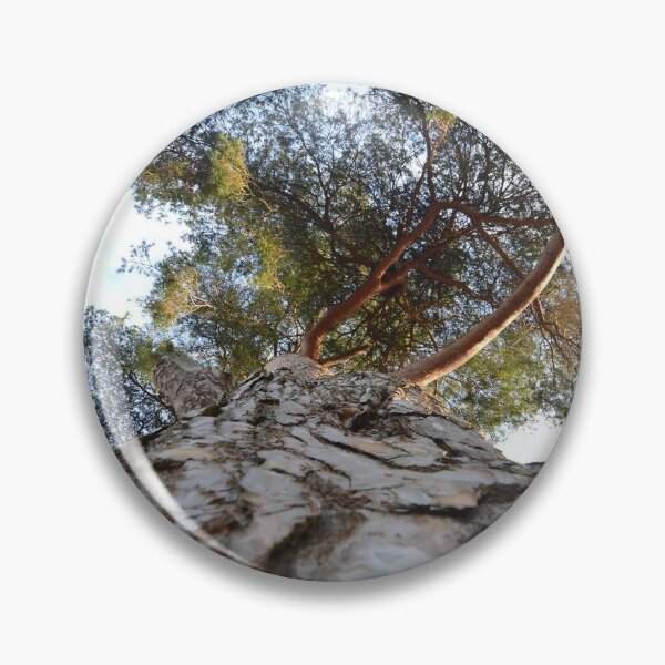 Item preview, Tree Looking up designed and sold by Esther Hutchcroft.