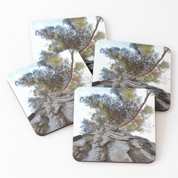 Item preview, Tree Looking up designed and sold by Esther Hutchcroft.