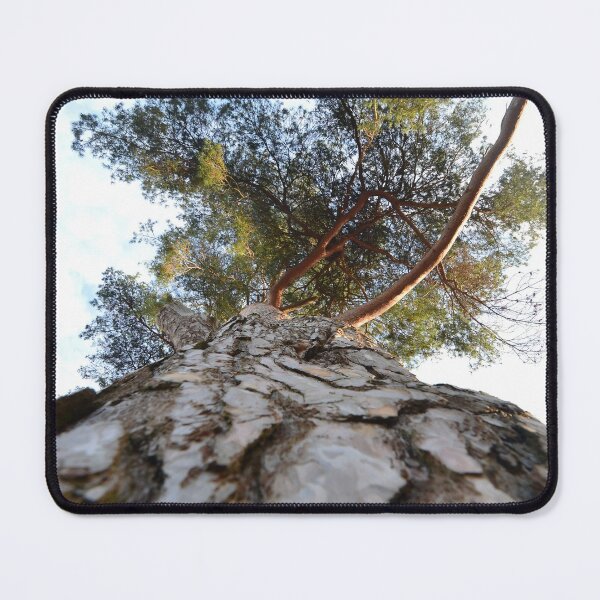 Item preview, Tree Looking up designed and sold by Esther Hutchcroft.