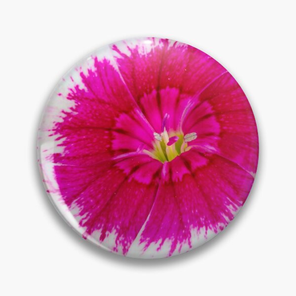 Item preview, Garden Flora designed and sold by Dave Hare Photography.