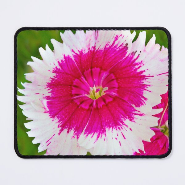 Item preview, Garden Flora designed and sold by Dave Hare Photography.