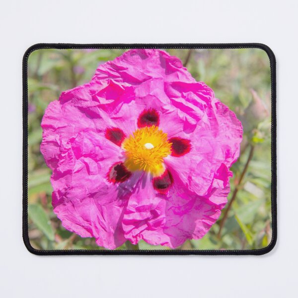 Item preview, Creased Flora designed and sold by Dave Hare Photography.