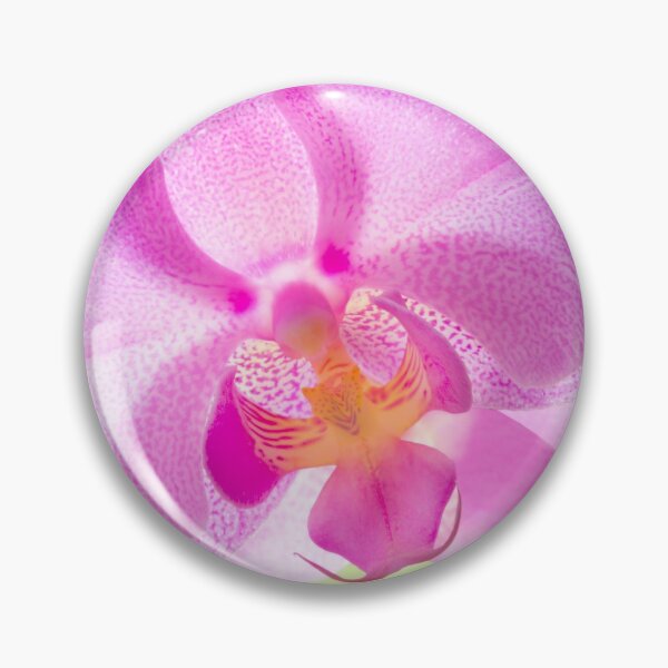 Item preview, Backlit Iris designed and sold by Dave Hare Photography.