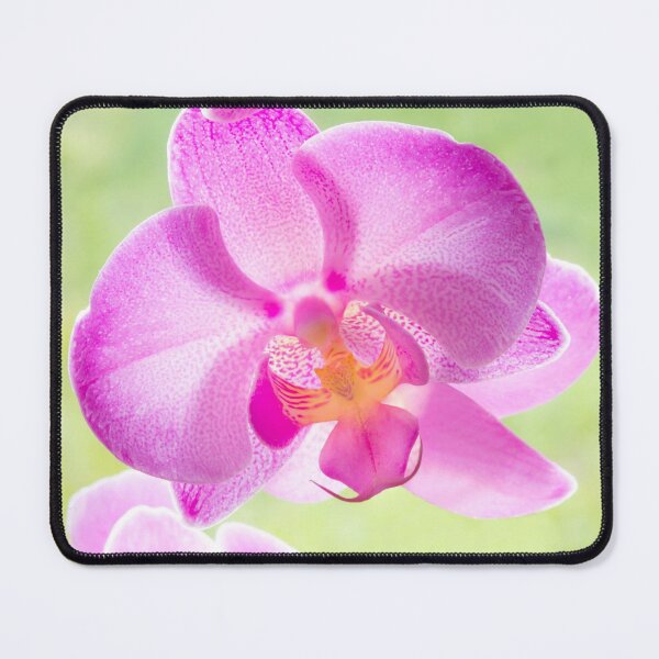Item preview, Backlit Iris designed and sold by Dave Hare Photography.