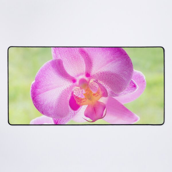 Item preview, Backlit Iris designed and sold by Dave Hare Photography.