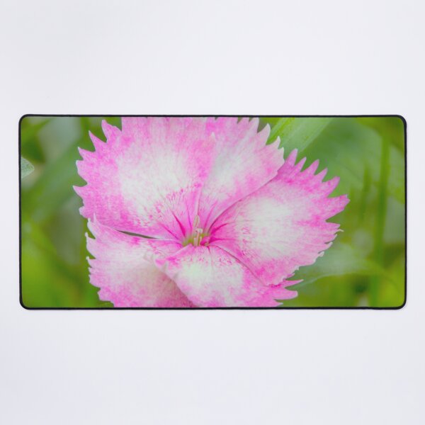 Item preview, Soft Petals designed and sold by Dave Hare Photography.