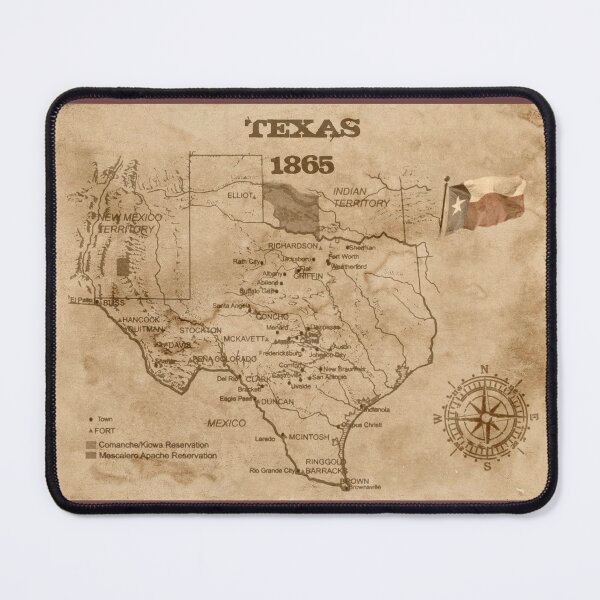 Insulated Can Holder with the Texas Map