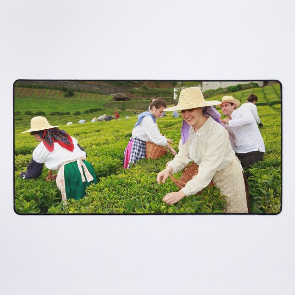 Item preview, Porto Formoso tea gardens designed and sold by Gaspar Avila.