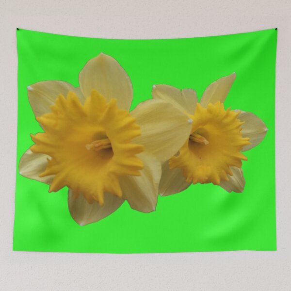 Item preview, Daffodil's in bloom designed and sold by edwardtiptonart.