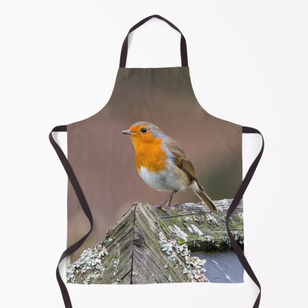Item preview, European Robin designed and sold by Dave Hare Photography.