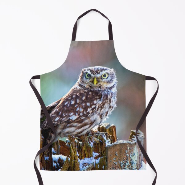 Item preview, Little Owl designed and sold by Dave Hare Photography.